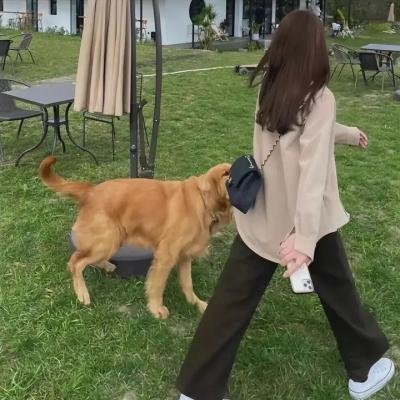 孤独社畜